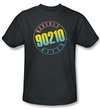 Beverly Hills 90210 Kids T-shirt Color Blend Logo Youth Charcoal Shirt