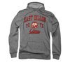 Friday Night Lights Hoodie Lions Athletic Heather Sweatshirt Hoody