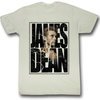 James Dean Shirt James Cracked Adult Dirty White Tee T-Shirt