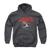 Jaws Youth Hoodie Cracked Jaw Charcoal Kids Hoody