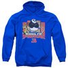 Kung Fu Panda 3 Hoodie Kung Furry Royal Blue Sweatshirt Hoody