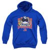 Kung Fu Panda 3 Kids Hoodie Kung Furry Royal Blue Youth Hoody