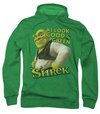 Shrek Hoodie Sweatshirt Looking Good Kelly Green Adult Hoody Sweat Shirt