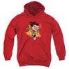 Teen Titans Go Youth Hoodie Robin Red Kids Hoody