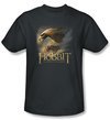 The Hobbit Kids Shirt Movie Unexpected Journey Eagle Charcoal Tee