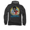 The Love Boat Hoodie Booze Cruise Charcoal Sweatshirt T-Shirt