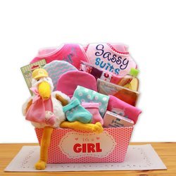 A Special Delivery New Baby Pink Gift Basket