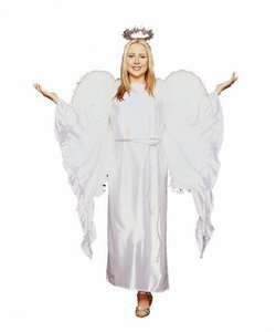 Adult Elegant Angel Costume