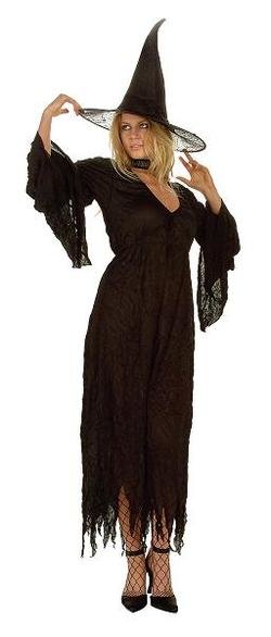 Adult Gown Witch Costume