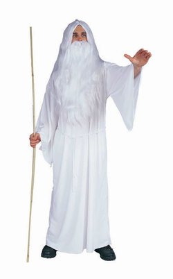 Adult White Wizard Costume