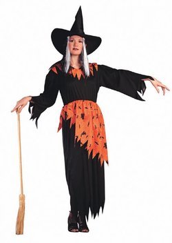 Adult Witch Halloween Costume