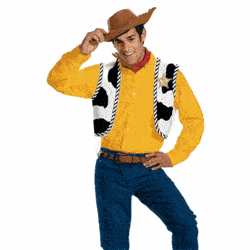 Adult Woody Costume Kit