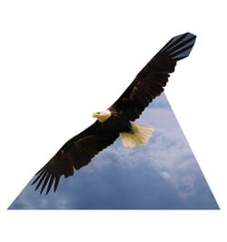 American Eagle Cardboard Cutout