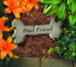 Best Friend Dog Bone Stone
