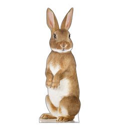 Bunny Rabbit Cardboard Cutout