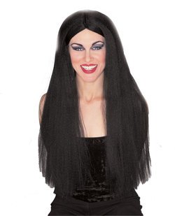 Cher Wig - Long Black Wig