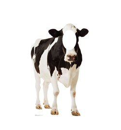 Cow Standin Cardboard Cutout