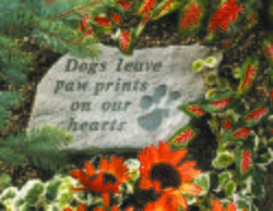 Dogs leave paw prints on our hearts