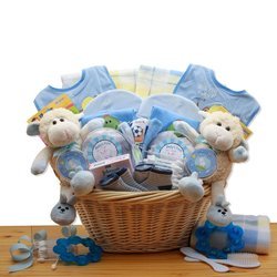 Double Delight Twins New Baby Blue Gift Basket