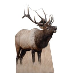 Elk Cardboard Cutout
