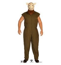 Erick Rowan WWE Cardboard Cutout