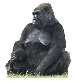 Gorilla Mom & Child Cardboard Cutout