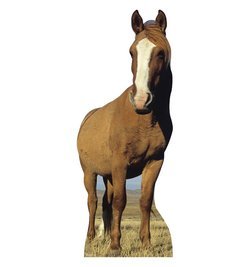 Horse Cardboard Standee