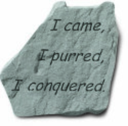 I came, I purred, I conquered Engraved Stone