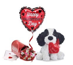 I Woof You Plush Valentine And Chocolate Gift Set - Black