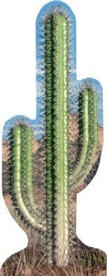 Life Size Cactus Standee - Single