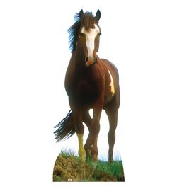 Life Size Mustang Horse Standee