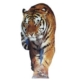 Life Size Tiger Standee