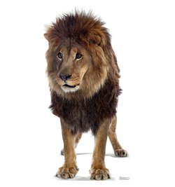 Lion Cardboard Cutout