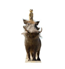 Live Action Lion King Timon and Pumbaa Cardboard Cutout