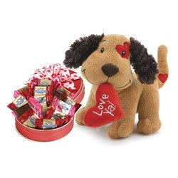 Lotsa Love Valentine Plush With Chocolate Gift Set