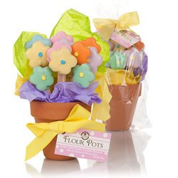 Mother's Day Flowerpot of Edible Cookies