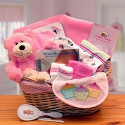 New Baby Basics Pink Gift Basket
