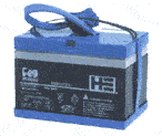 Peg Perego 12 Volt Battery<br>for Ride-On Vehicles