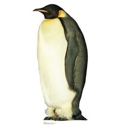 Penguin Cardboard Cutout