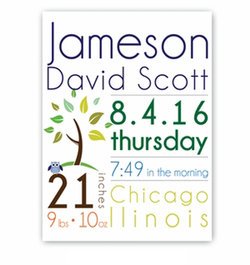 Personalized Baby Boy Announcement Canvas Sign