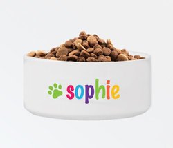 Personalized Classic Large Dog Bowl - Bright
