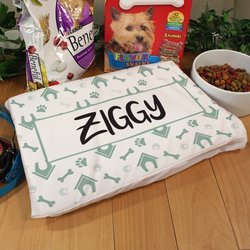 Personalized Dog House Pet Pillow