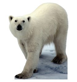 Polar Bear Cardboard Cutout