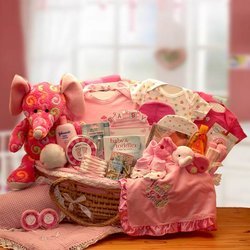 Precious Petals Deluxe Moses Pink Carrier