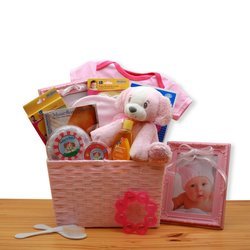 Puppy Love New Baby Pink Gift Basket