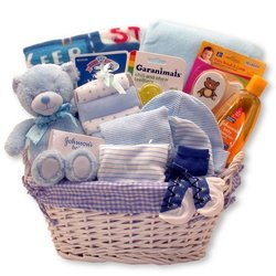 Simply Baby Necessities Basket