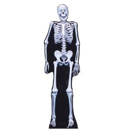 Skeleton Cardboard Cutout