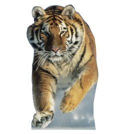 Tiger Snow Cardboard Cutout