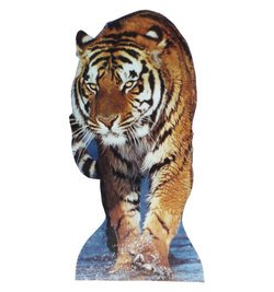 Tiger Talking Cardboard Cutout