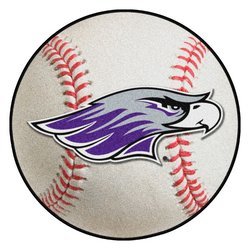 University of Wisconsin Whitewater Baseball Rug